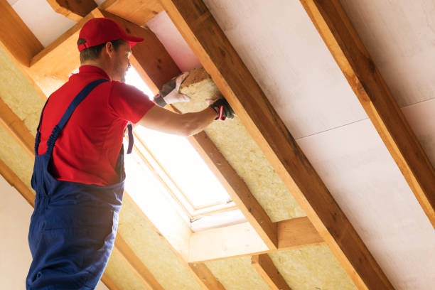 Types of Insulation We Offer in Castle Pines, CO